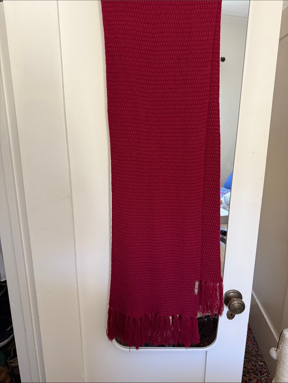 Taylor Swift All to Well   Knit Fringe Scarf